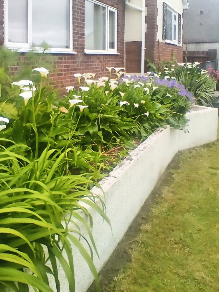 Images for The Avenue, Ystrad Mynach, Hengoed