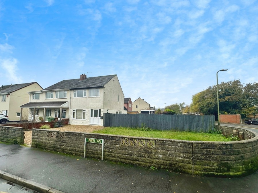 Images for Tawel Fan, Nelson