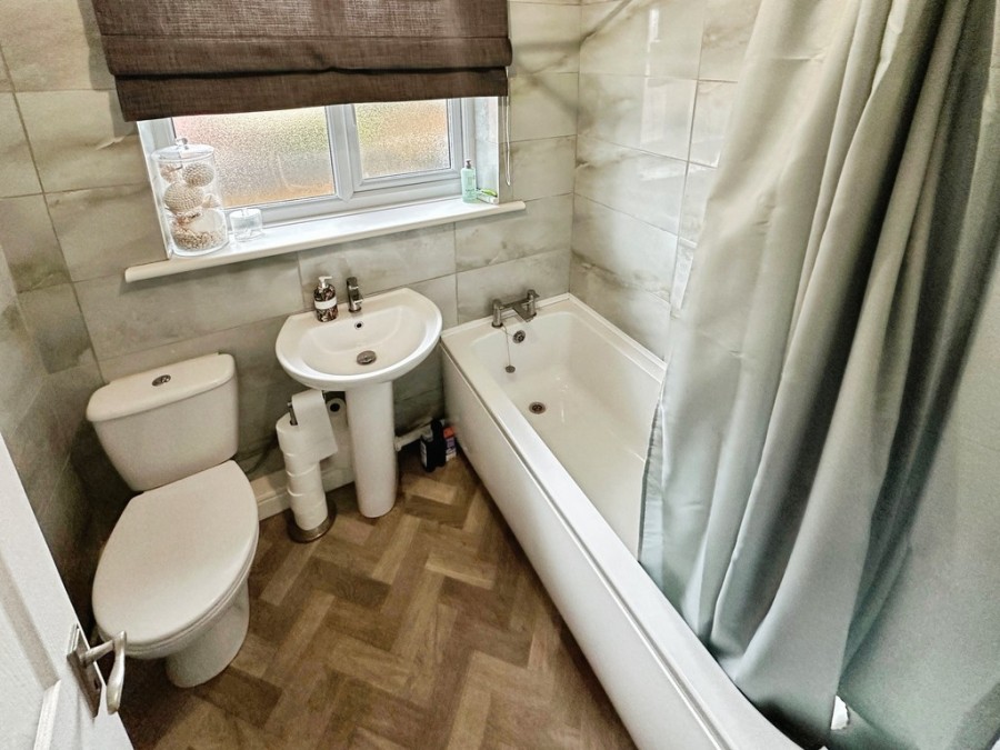 Images for Tawel Fan, Nelson