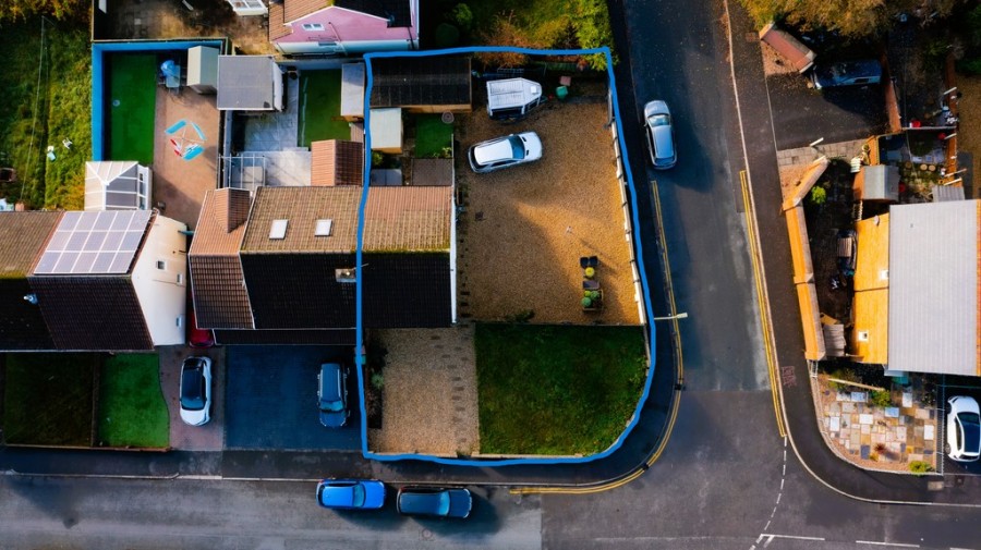 Images for Tawel Fan, Nelson