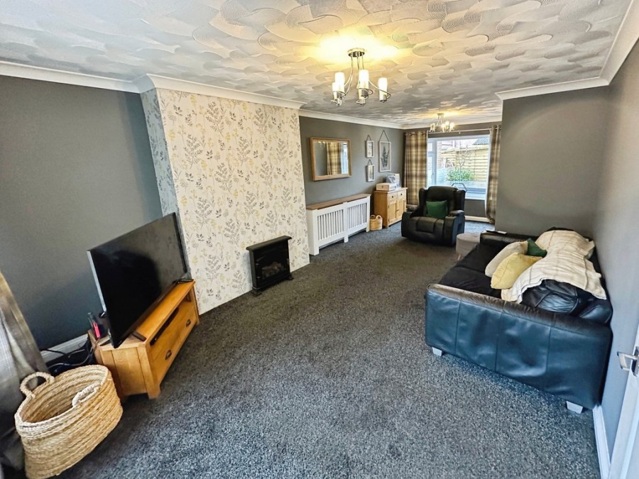 Images for Tawel Fan, Nelson