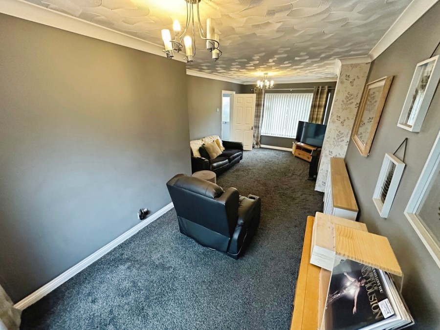 Images for Tawel Fan, Nelson