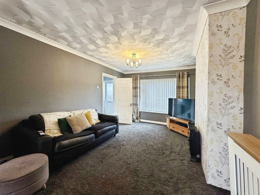 Images for Tawel Fan, Nelson