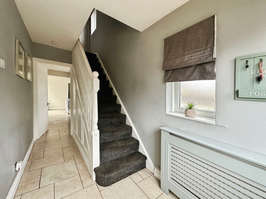 Images for Tawel Fan, Nelson