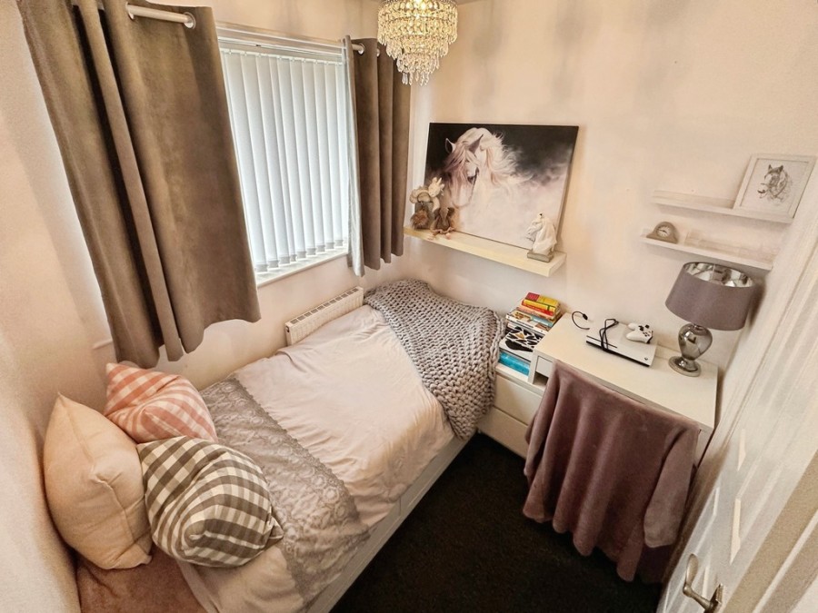 Images for Tawel Fan, Nelson